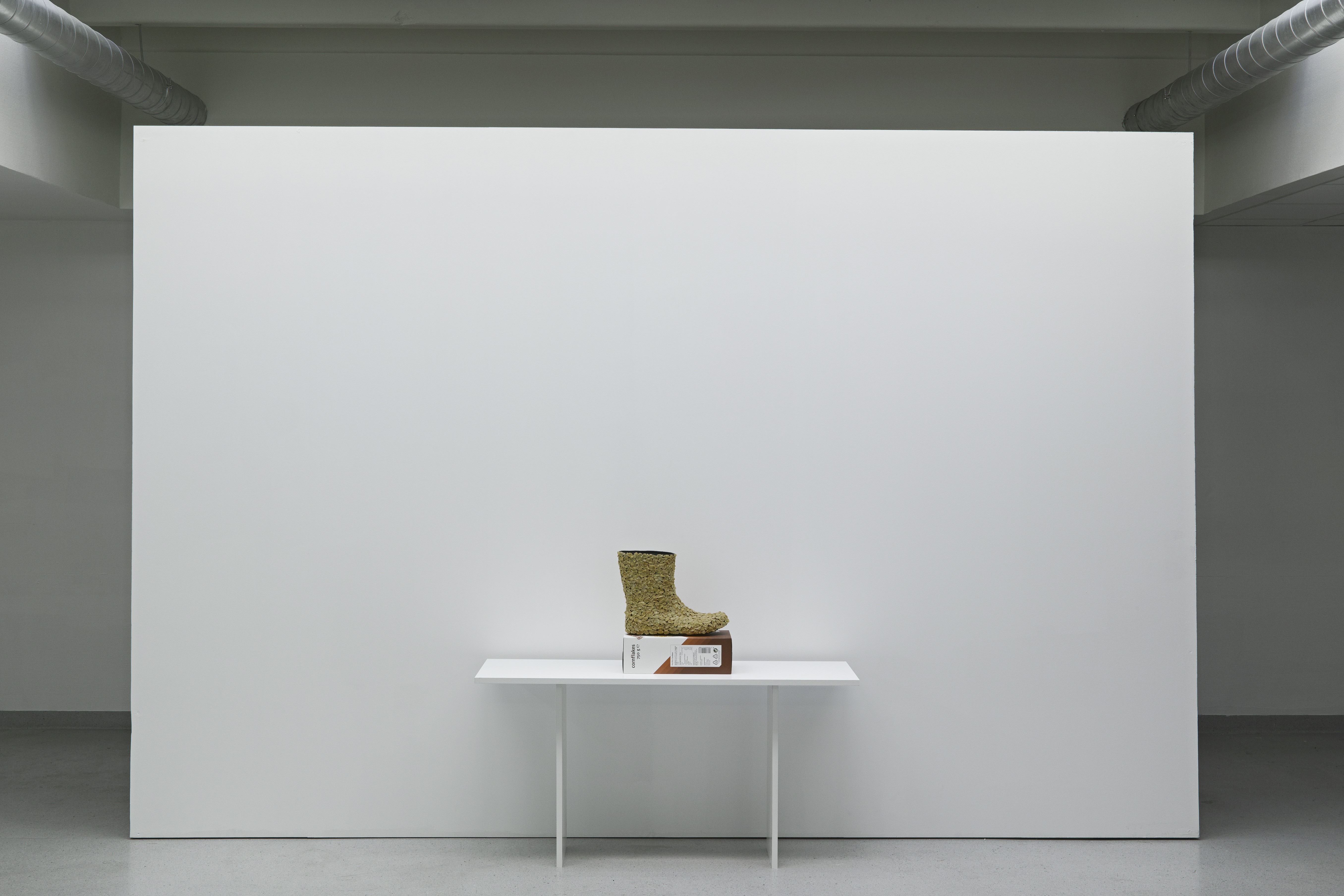 lvg-pyton-installation-2